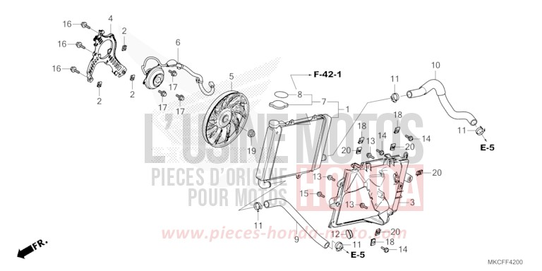 RADIATOR (R.) for Gold Wing PEARL GLARE WHITE (NHB53) from 2022